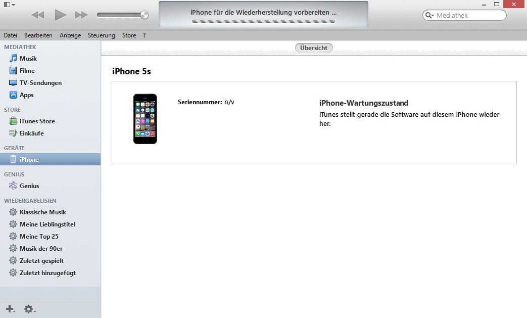 iPhone Fernlöschen SIM-PIN Aktivierung Problem iTunes Wartungszustand