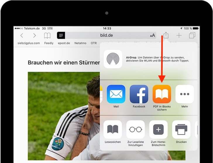 iPad Reader-Ansicht PDF konvertieren speichern iBooks exportieren 4